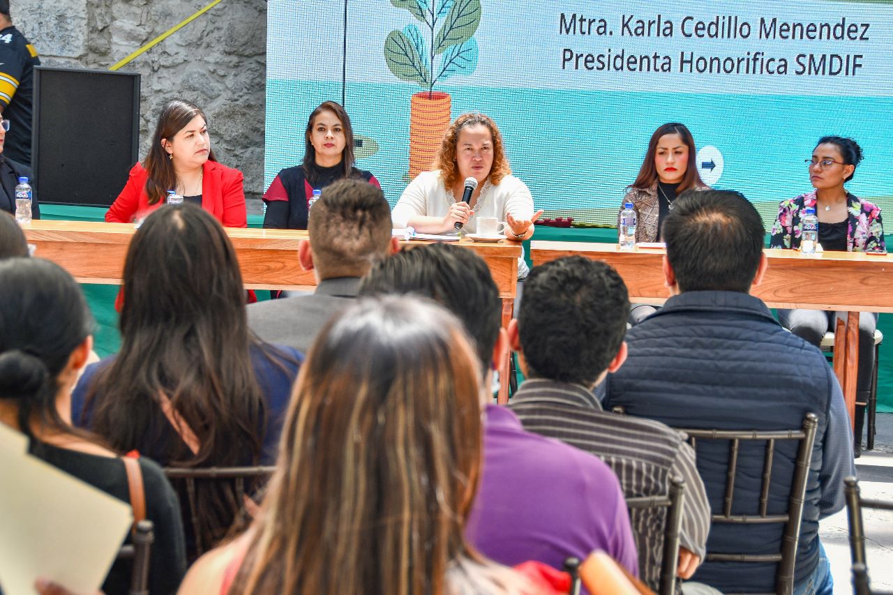 Presenta SMDIF Huamantla plan de trabajo sobre salud mental y emocional